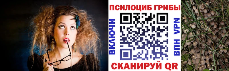 Галлюциногенные грибы MAGIC MUSHROOMS  Таруса 