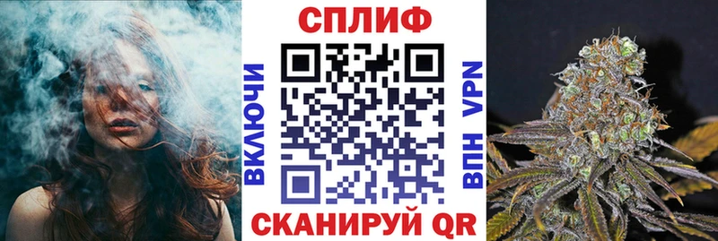 наркотики  Таруса  Шишки марихуана Ganja 